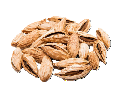 Talwar Kaghzi Badam – Premium Soft Shell Almonds